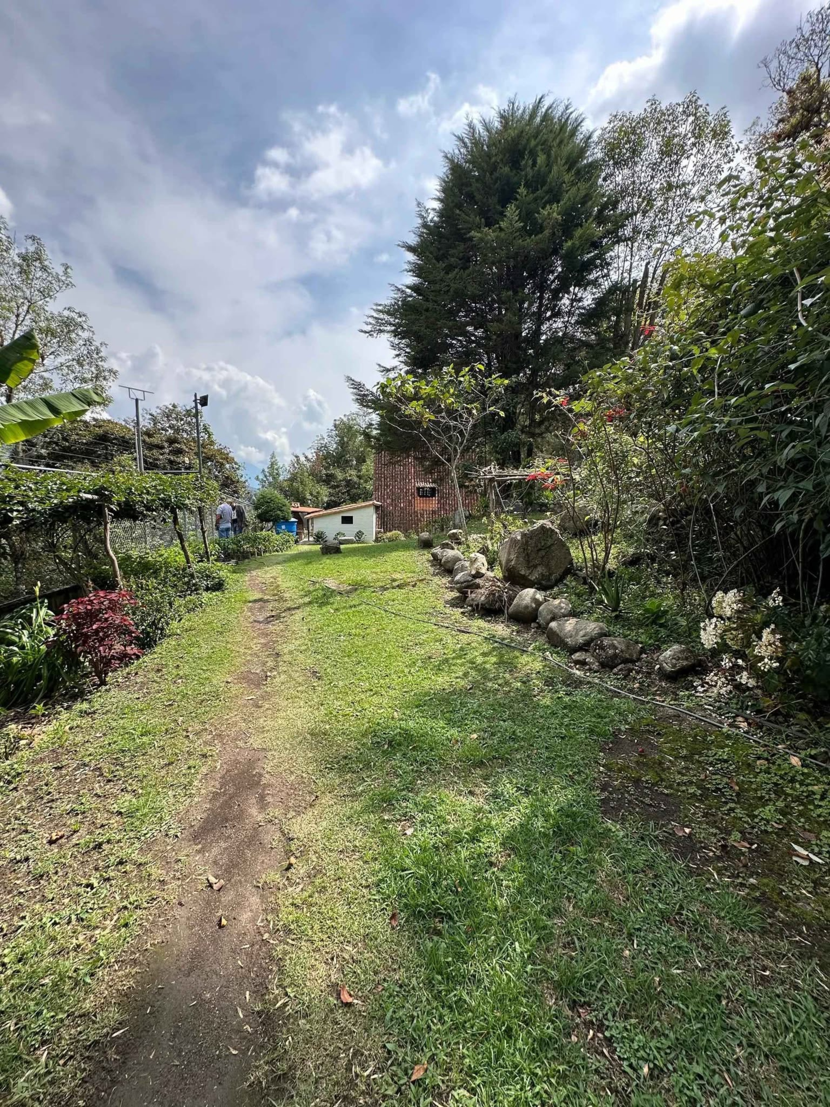 Cabañas (2) con 3 hectáreas de terreno en El Valle, Mérida., Venezuela. · $ 160.000 · Thays León | Asesora Inmobiliaria 13