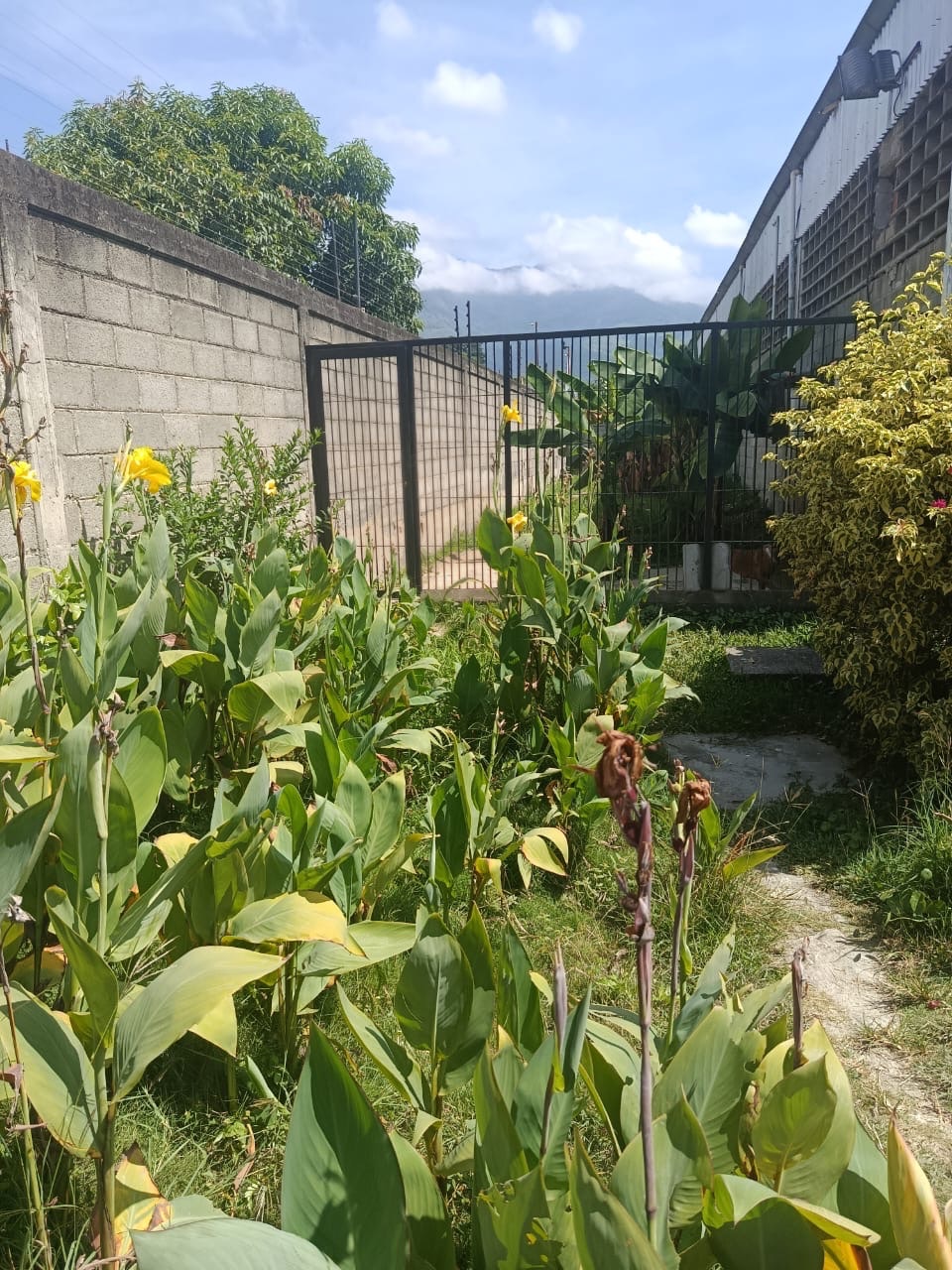 Galpón Industrial en Venta en el Marqués Guatire, 1.850 M2 · $ 490.000 · Thays León | Asesora Inmobiliaria 9