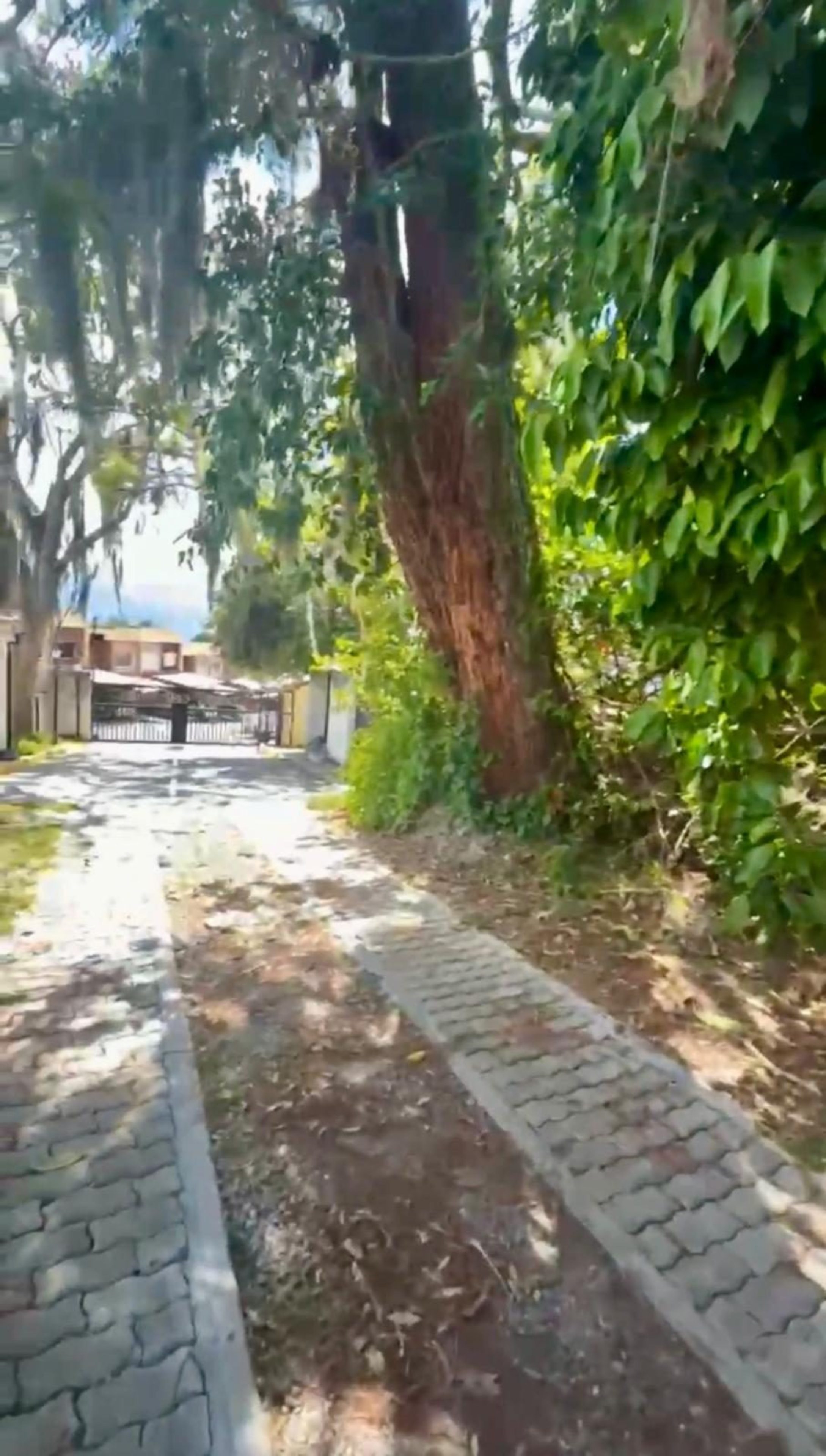 TERRENO PLANO Av. Los Próceres. Mérida .Venezuela (M2; 1,454,54 ) M-94 · $ 100.000 · Thays León | Asesora Inmobiliaria 3