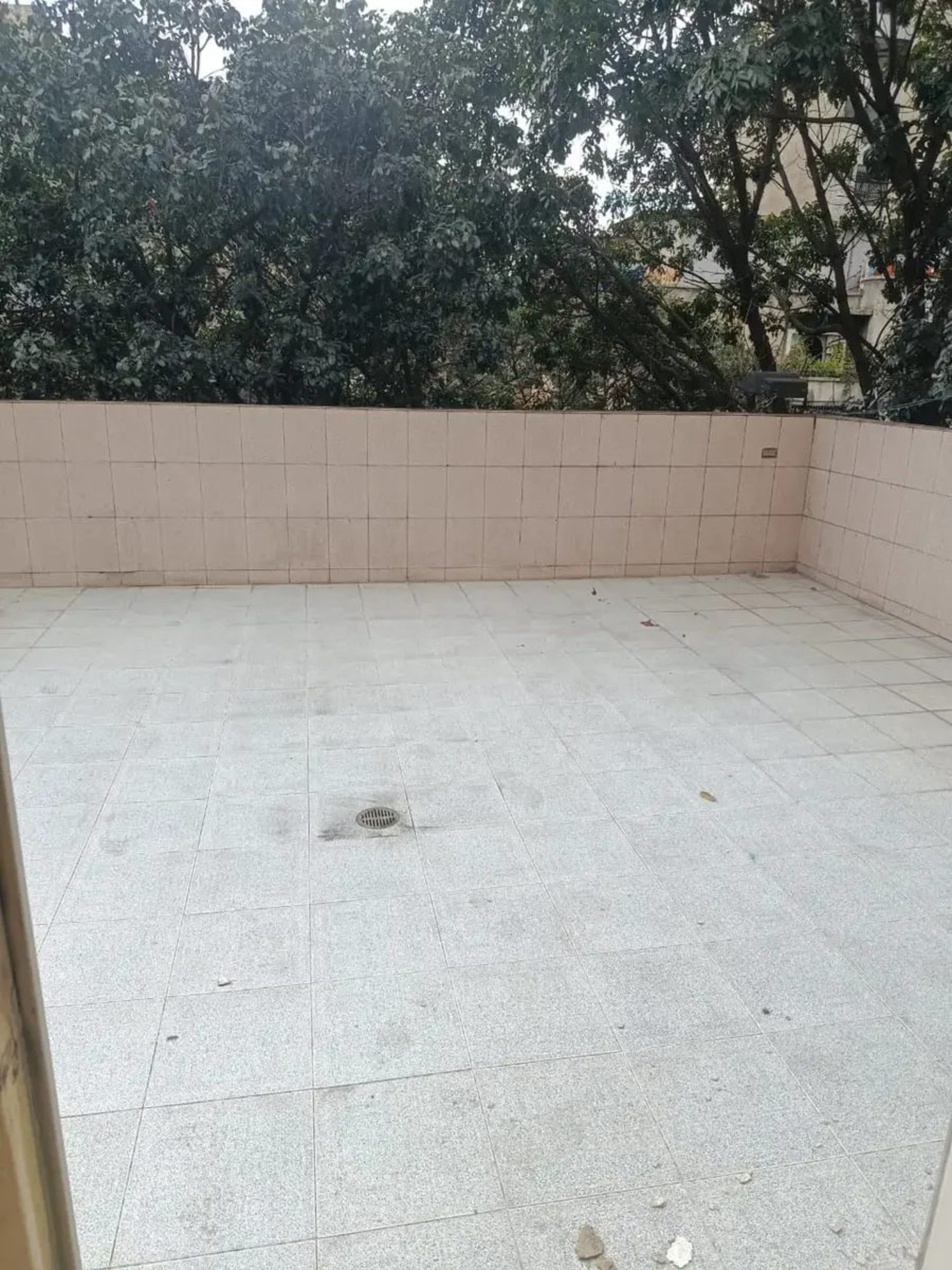 Edificio Comercial e Industrial con Fondo de Comercio Activo (PANADERÍA), Av. Baralt.  Caracas.   (Iv) · $ 700.000 · Thays León  | Asesora Inmobiliaria 22